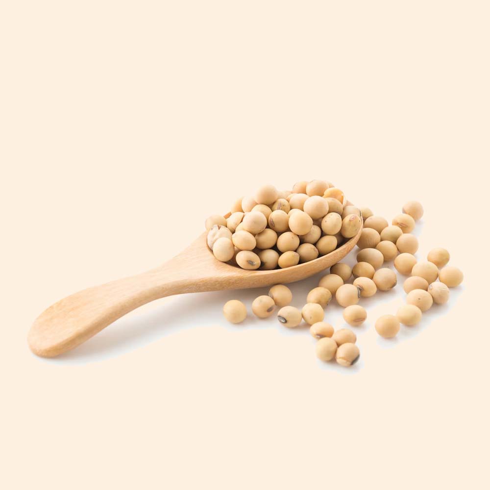 Hydrolyzed Pea Protein Hydrolyzed Pea Protein